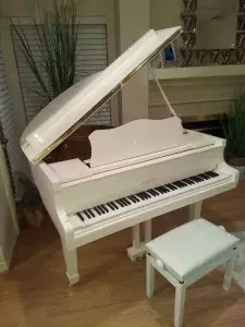 مشخصات و ویژگی پیانو کاگ100